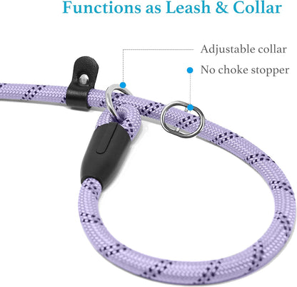 Durable Slip Lead Dog Leash with Padded Handle and Highly Reflective Threads, No Pull Dog Training Leash, (3/8" X 6 FT, Lavender)