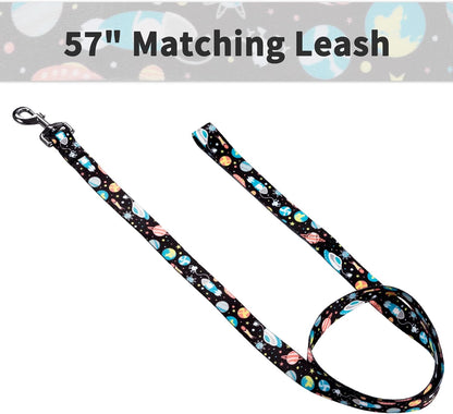 Dog Collar and Leash Set for Daily Outdoor Walking Running Training, Space Design for Small Boys Girls Dogs Cats Pets, S-Up to 20LBS