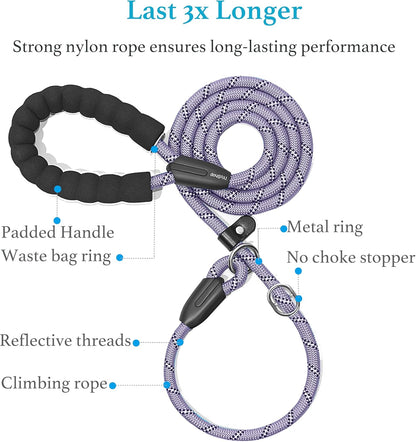 Durable Slip Lead Dog Leash with Padded Handle and Highly Reflective Threads, No Pull Dog Training Leash, (3/8" X 6 FT, Lavender)